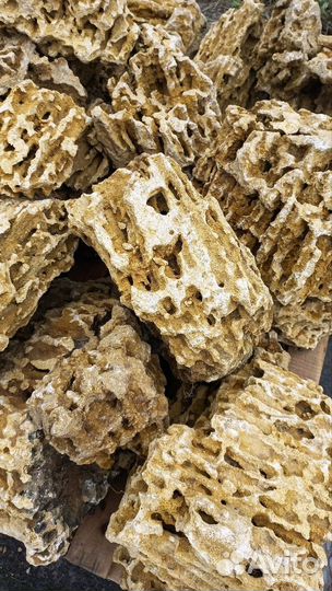 Камни Миотис, Ракушечник для аквариума и ландшафта