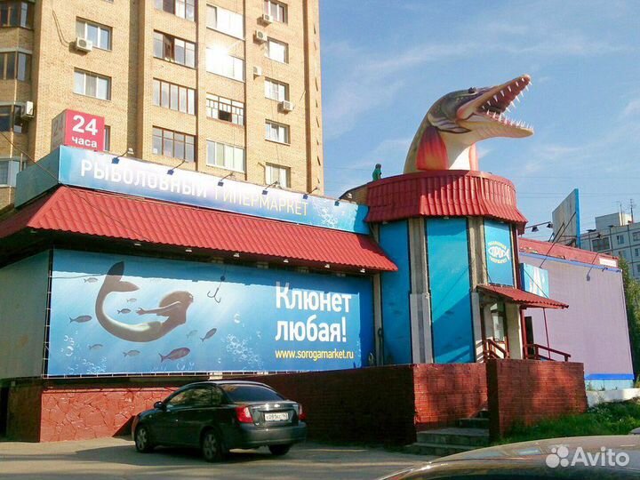 Надувная щука