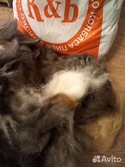Собачья шерсть пух
