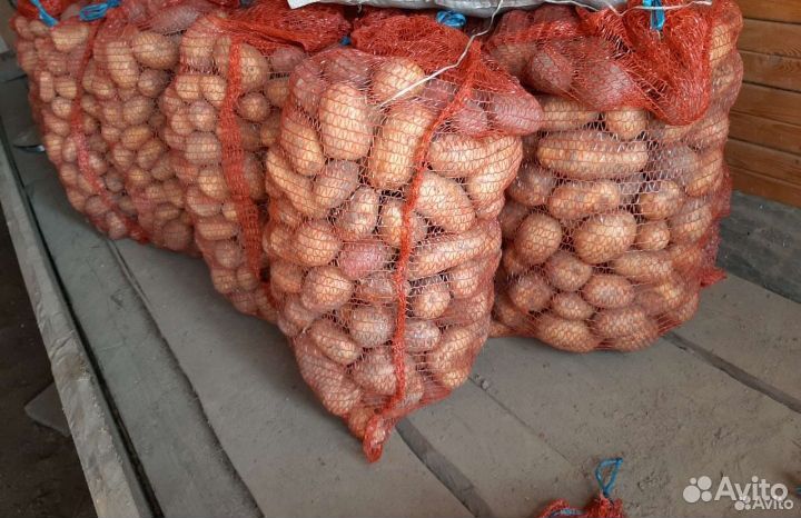 Продам картофель с доставкой