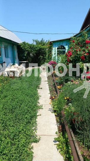 Дом 61 м² на участке 7 сот.