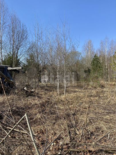 Участок 11,6 сот. (СНТ, ДНП)