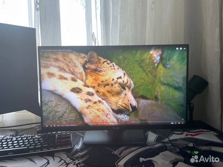 Монитор asus TUF gaming VG289 4к