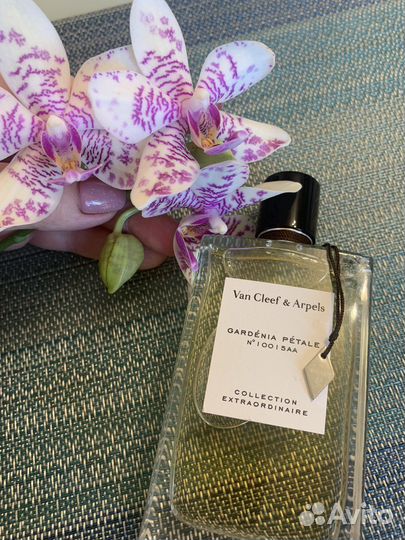 Rose Rouge /Gardenia Petal,Van Cleef