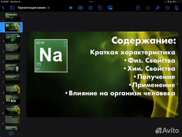 Делаю презентации школьникам и студентам