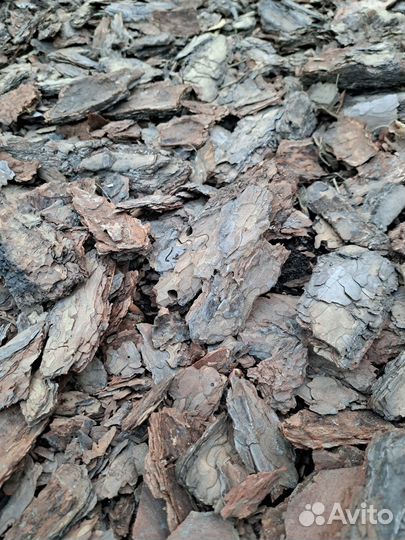 Мульча сосновая кора