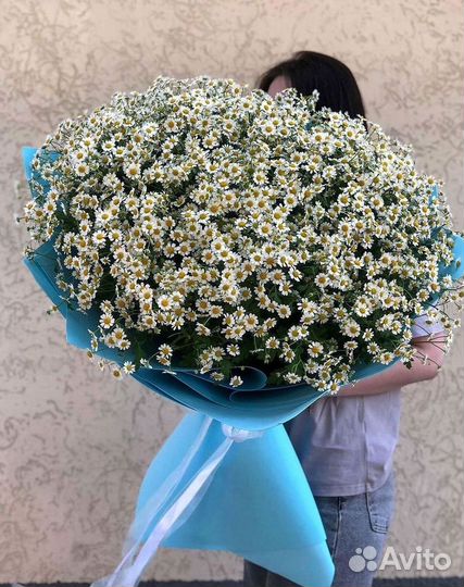 Цветы ромашки. Букеты ромашек. Цветы доставка