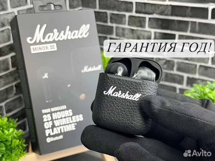 Marshall Minor 3 