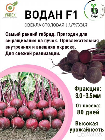 Семена свеклы Водан