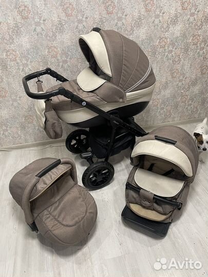 Коляска 3 в 1 adamex neonex