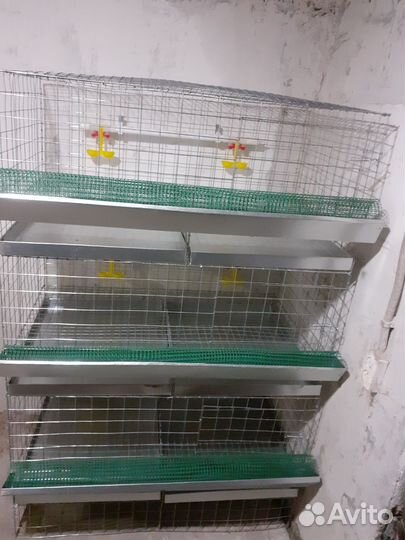 Клетки для кур бройлеров