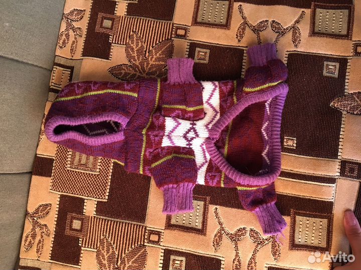 Одежда для собак