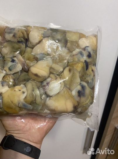 Мясо рапана сырое