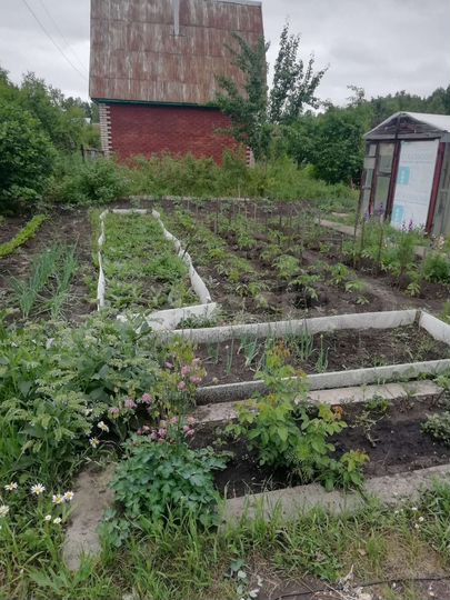 Дача 36 м² на участке 5,5 сот.