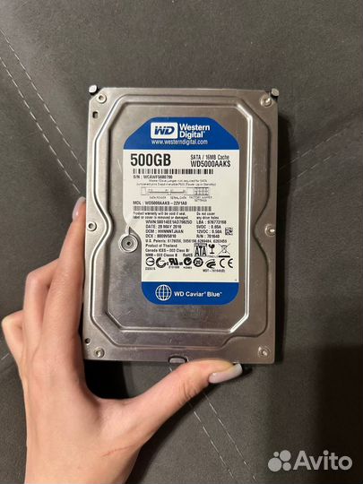 Western Digital Blue