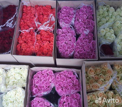 Цветы оптом розы