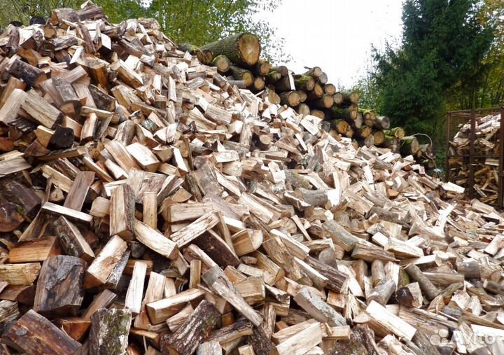 Дрова премиальные