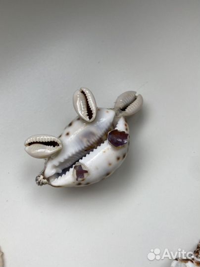 Морские ракушки пакетом