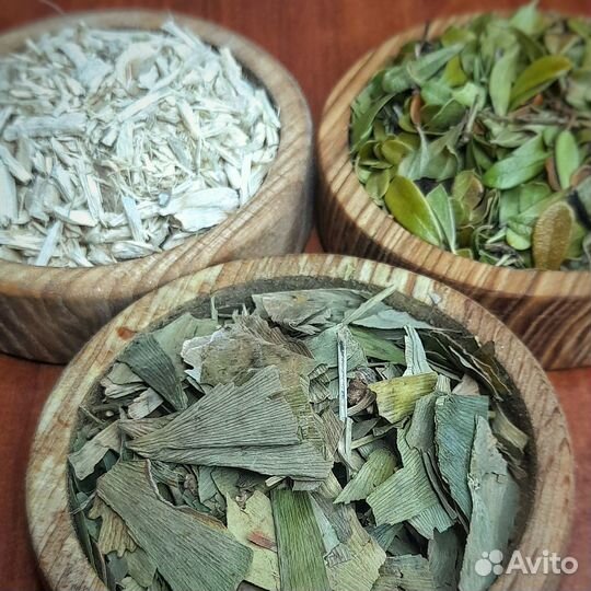 Толокнянка, Элеутерококк, Гинко Билоба