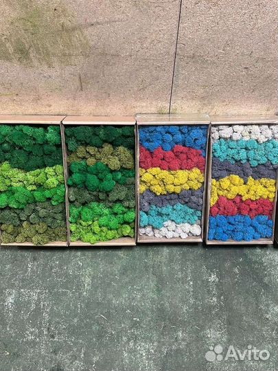 Стабилизированный мох ягель, пластовой, кочка