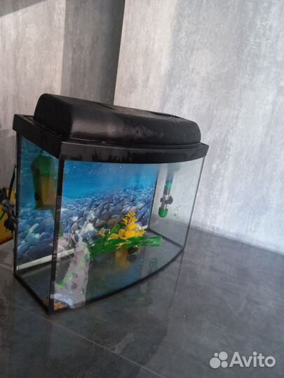 Аквариум