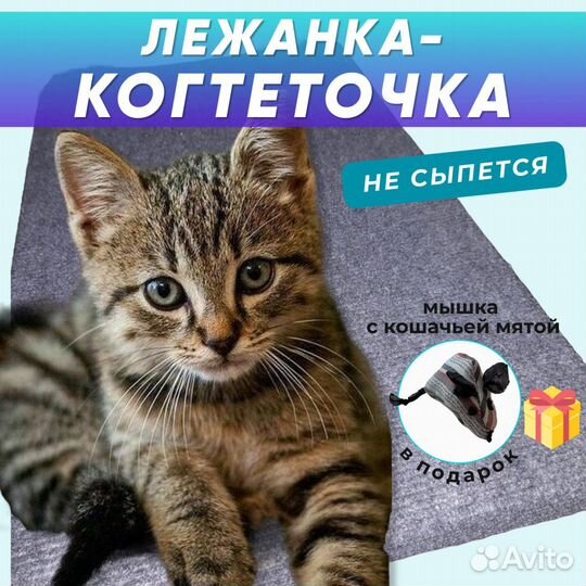 Лежанка-когтеточка