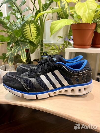 Кроссовки adidas 39 climacool cc ride