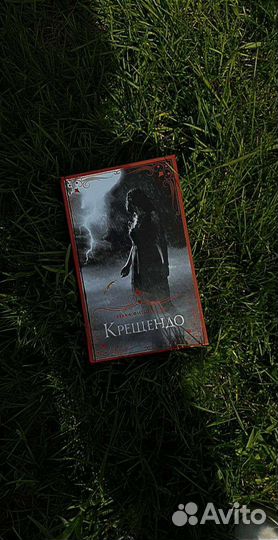 Книги О чем молчат Ангелы, Финал, Крещендо