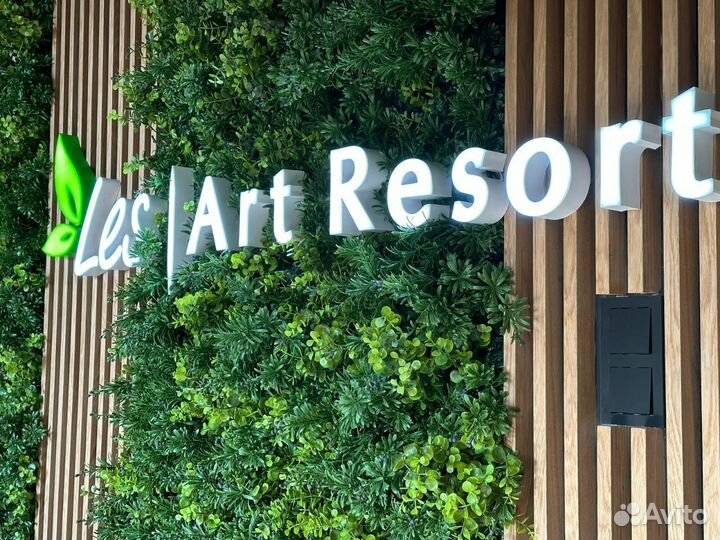 Вертикальное озеленение. Фитостена