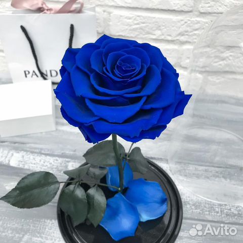 Розы в колбе (Синяя и не только) Доставка