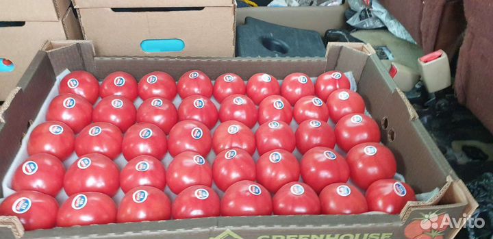 Помидор Азербайджан цена за 7.5кг ящик высший сорт