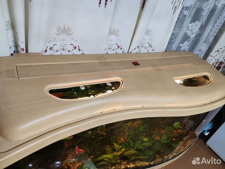 Аквариум 250 литров со всем содержимым