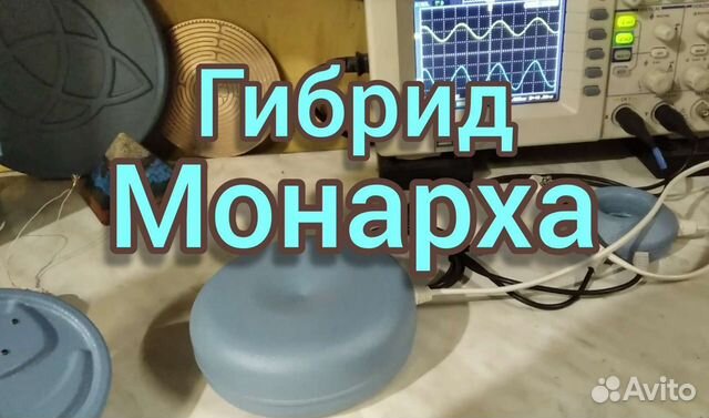 Гибрид Монарха