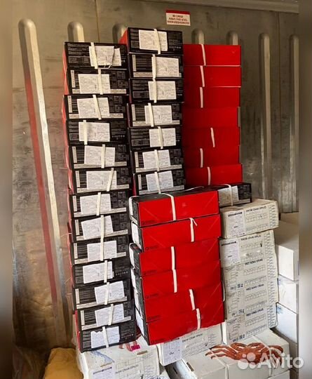 Креветка Северная