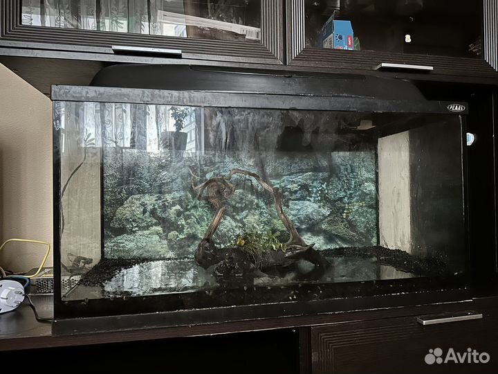 Акавариум