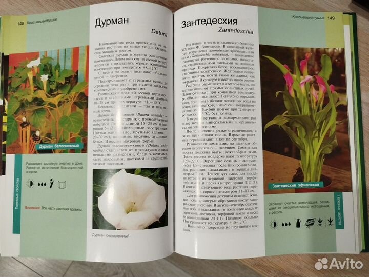 Подарочная книга для любителей комнатных растений