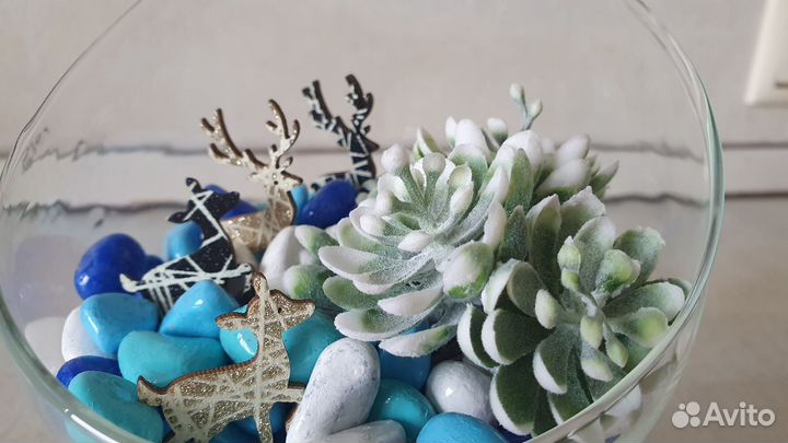 Флорариум новый