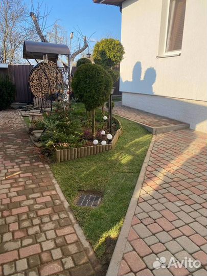 Рулонный газон