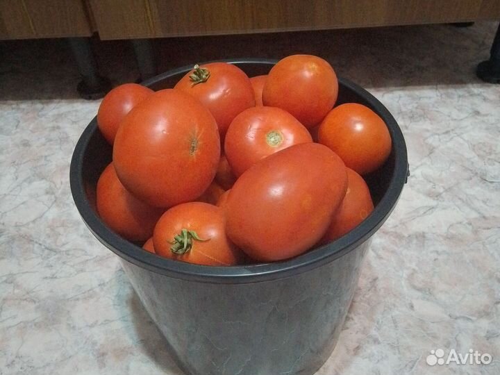 Помидоры
