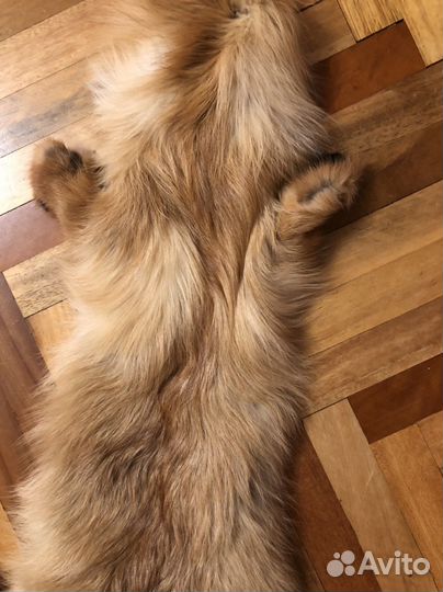 Шкурка лисы