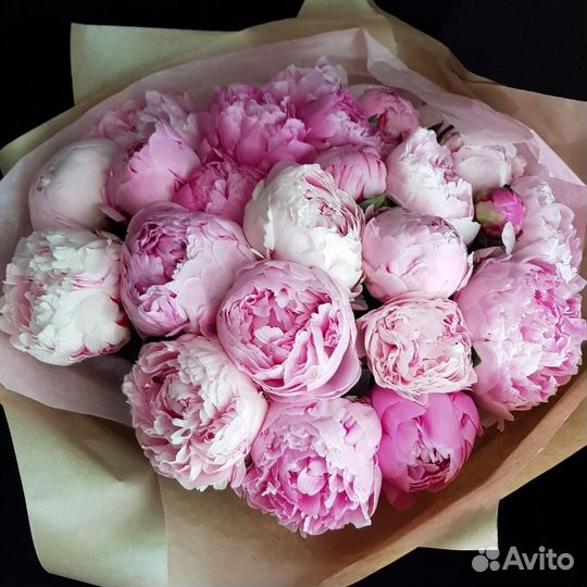 Пионы сара бернар в наличии