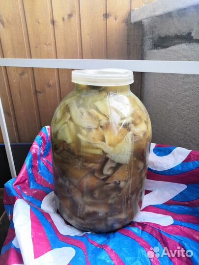 Грибы соленые