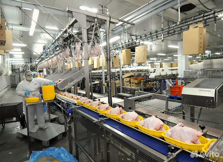 Вакансия на птицефабрику с проживанием Вахта