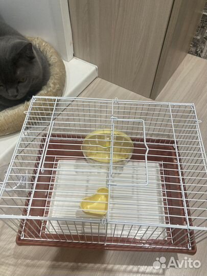 Клетка для грызунов