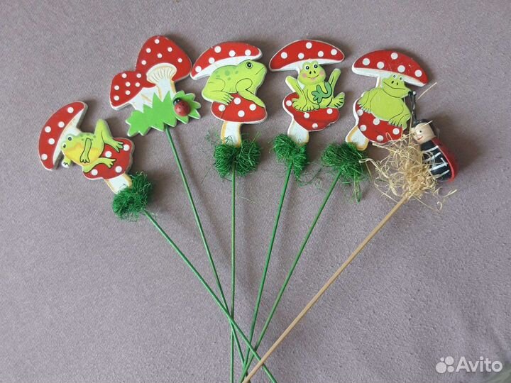 Декабрист белый, красный, розовый, фиолетовый