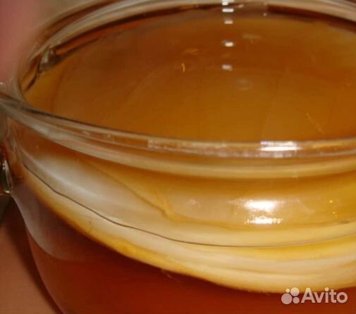 Чайный гриб