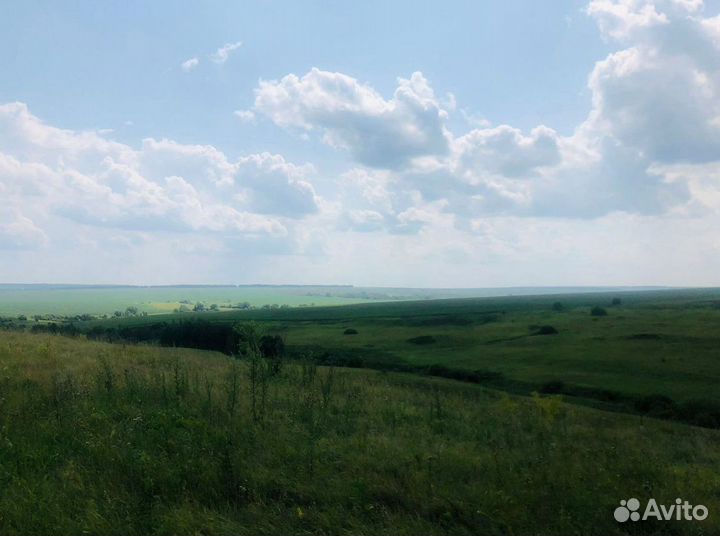 Сено и Стружка в тюках