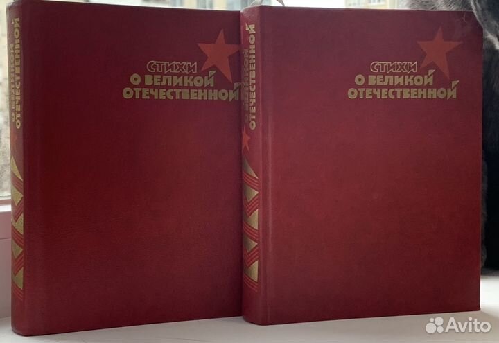 Стихи о Великой Отечественной в двух книгах