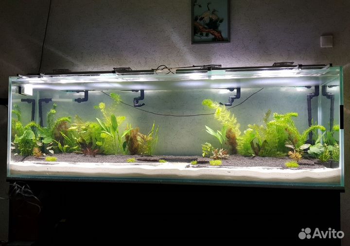 LED светильник для пресноводных аквариумов