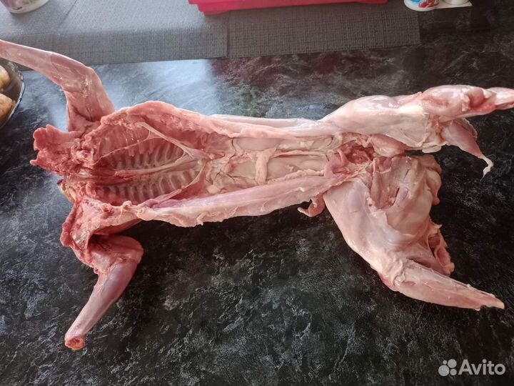 Тушка кролика